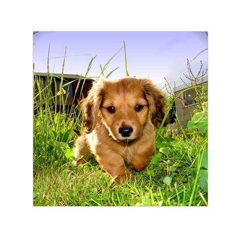 Puppy In Grass Small Satin Scarf (Square) from ArtsNow.com Front