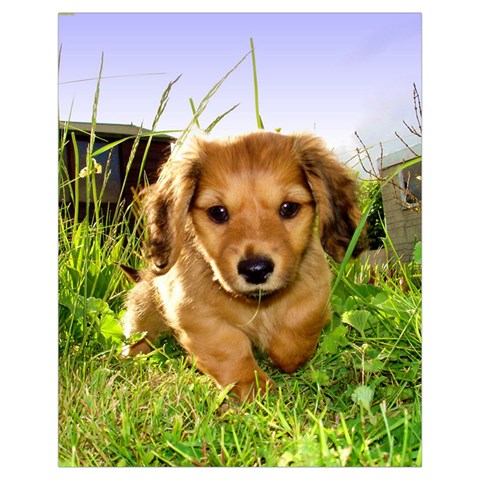 Puppy In Grass Drawstring Pouch (XL) from ArtsNow.com Front