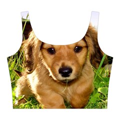 Puppy In Grass Midi Sleeveless Dress from ArtsNow.com Top Front