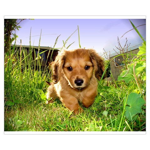 Puppy In Grass Medium Tote Bag from ArtsNow.com Front