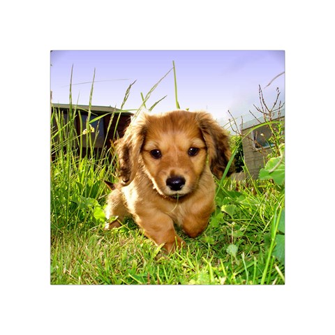 Puppy In Grass Square Tapestry (Small) from ArtsNow.com Front