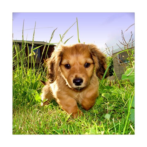 Puppy In Grass Square Tapestry (Large) from ArtsNow.com Front