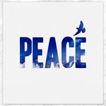 Peace Bird Canvas 16  x 16 