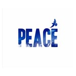 Peace Bird Double Sided Flano Blanket (Small)