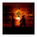 Ninja Sunset Medium Glasses Cloth