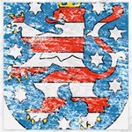 Coat Of Arms Of Thuringia Canvas 20  x 20 