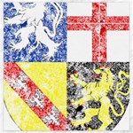 Coa De Saarland Canvas 20  x 20 