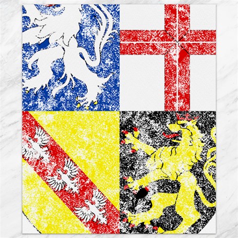 Coa De Saarland Canvas 20  x 24  from ArtsNow.com 19.57 x23.15  Canvas - 1