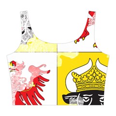 Coat Of Arms Of Mecklenburg Western Pomerania Midi Sleeveless Dress from ArtsNow.com Top Front