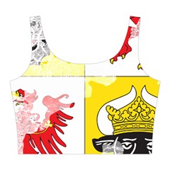 Coat Of Arms Of Mecklenburg Western Pomerania Midi Sleeveless Dress from ArtsNow.com Top Back