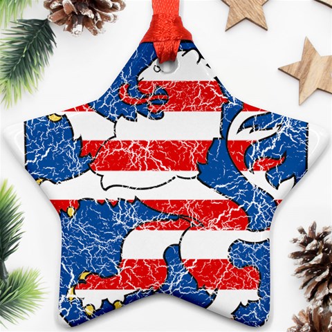 Coat Of Arms Of Hesse Star Ornament (Two Sides) from ArtsNow.com Front