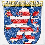 Coat Of Arms Of Hesse Canvas 20  x 20 