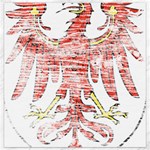 Brandenburg Coat Of Arms Canvas 16  x 16 