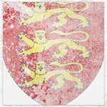 England Coa Canvas 12  x 12 