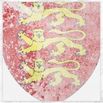 England Coa Canvas 20  x 20 