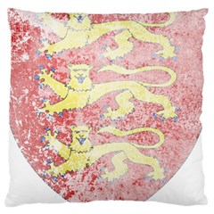 England Coa Standard Flano Cushion Case (Two Sides) from ArtsNow.com Front