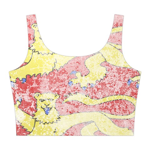 England Coa Midi Sleeveless Dress from ArtsNow.com Top Back
