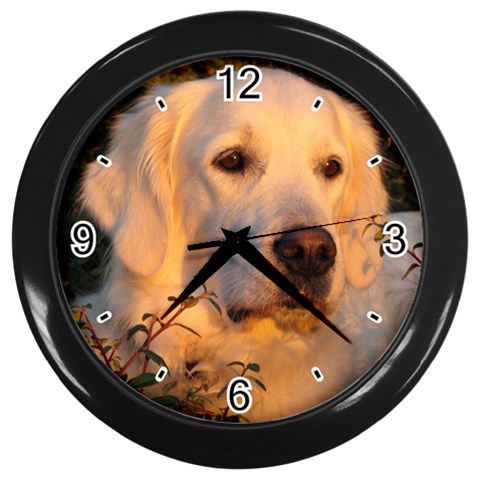 Golden Retriever D3 Wall Clock (Black) from ArtsNow.com Front