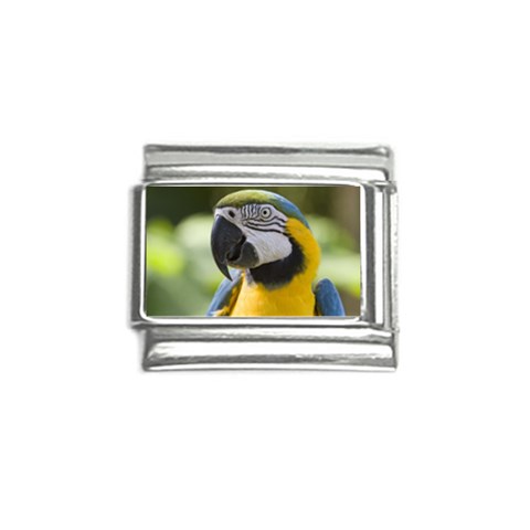 Parrot Italian Charm (9mm) from ArtsNow.com Front