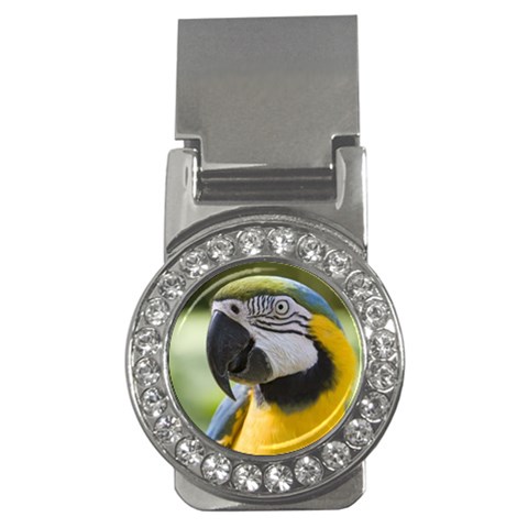 Parrot Money Clip (CZ) from ArtsNow.com Front