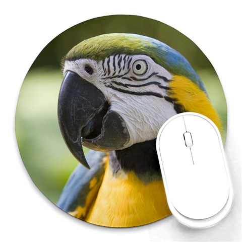 Handsome Parrot Round Mousepad from ArtsNow.com Front