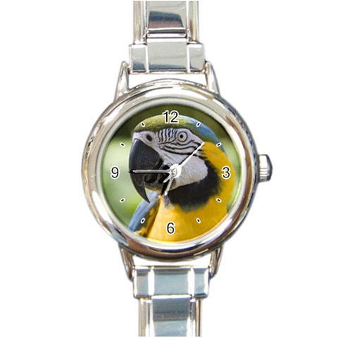 Parrot Round Italian Charm Watch from ArtsNow.com Front