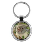 Koala Bear Key Chain (Round)