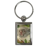 Koala Bear Key Chain (Rectangle)