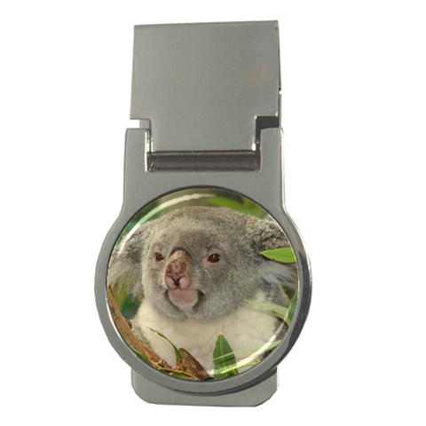 Koala Bear Money Clip (Round) from ArtsNow.com Front