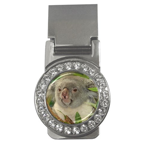 Koala Bear Money Clip (CZ) from ArtsNow.com Front