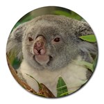 Koala Bear Round Mousepad