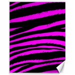 Pink Zebra Canvas 12  x 16 