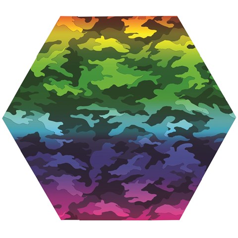 Rainbow Camouflage Wooden Puzzle Hexagon from ArtsNow.com Front