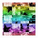 Rainbow Checker Skull Splatter Medium Glasses Cloth