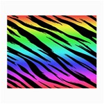 Rainbow Tiger Small Glasses Cloth