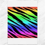 Rainbow Tiger Canvas 12  x 18 