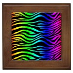 Rainbow Zebra Framed Tile