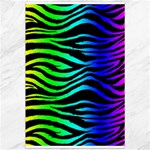 Rainbow Zebra Canvas 20  x 30 