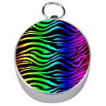 Rainbow Zebra Silver Compass