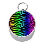 Rainbow Zebra Silver Compass (Mini)
