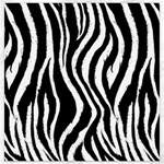 Zebra Pattern Canvas 12  x 12 