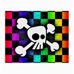 Checker Rainbow Skull Small Glasses Cloth