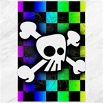 Checker Rainbow Skull Canvas 24  x 36 