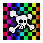 Checker Rainbow Skull Medium Glasses Cloth