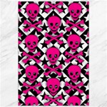 Pink Skulls & Stars Canvas 20  x 30 