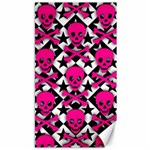 Pink Skulls & Stars Canvas 40  x 72 