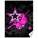 Pink Star Design Canvas 12  x 16 