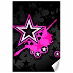 Pink Star Design Canvas 20  x 30 