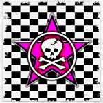 Pink Star Skull Checker Canvas 12  x 12 