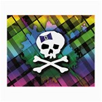 Rainbow Plaid Skull Small Glasses Cloth